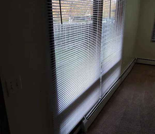 4721 Cordova St #1 — Photo 3