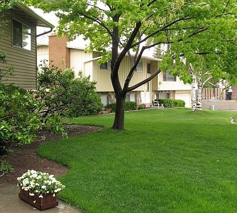 front yard