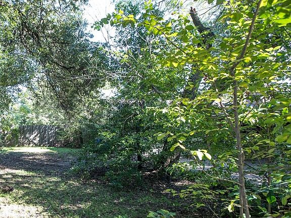 Large, private backyard area