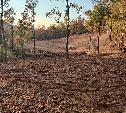 5th image of 185 Walker Ln