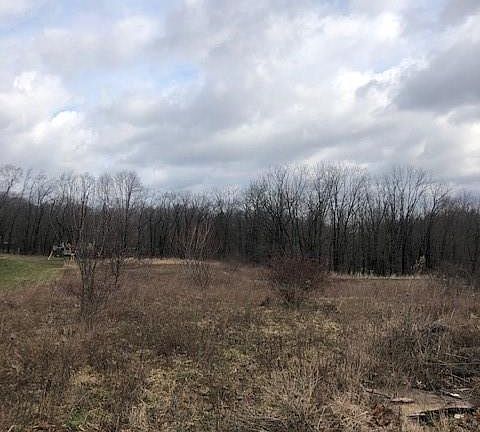 5th image of 4151 Flesher Dr