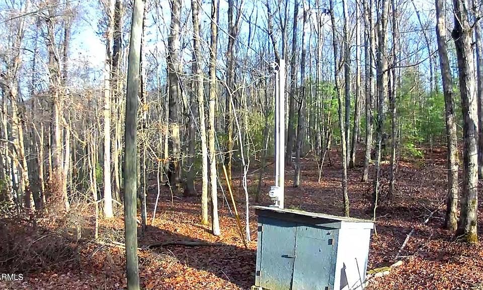 1st image of 174 Gold Miners Ln