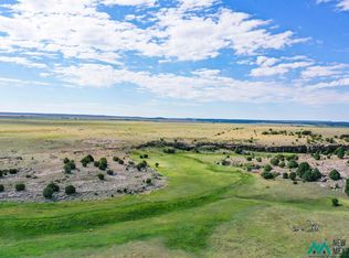 County Road C22c, Las Vegas, NM 87701