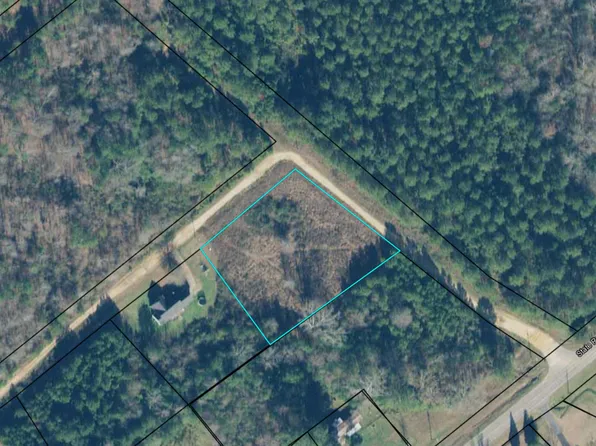0 Hoskins Dr, Lyerly, GA 30730