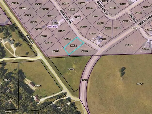 20 Stone Hill Dr, Custer, SD 57730