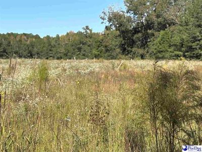 Tbd E Carolina Ave, Hartsville, SC, 29550