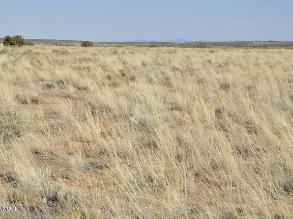 TRACT 4 Percheron Ln, Snowflake, AZ 85937