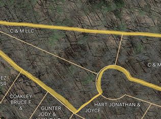 0 Shady Hollow Rd, White Pine, TN 37890