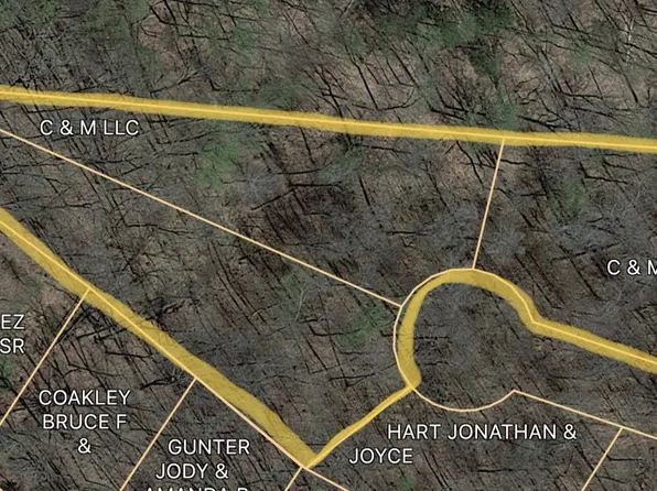 0 Shady Hollow Rd, White Pine, TN 37890