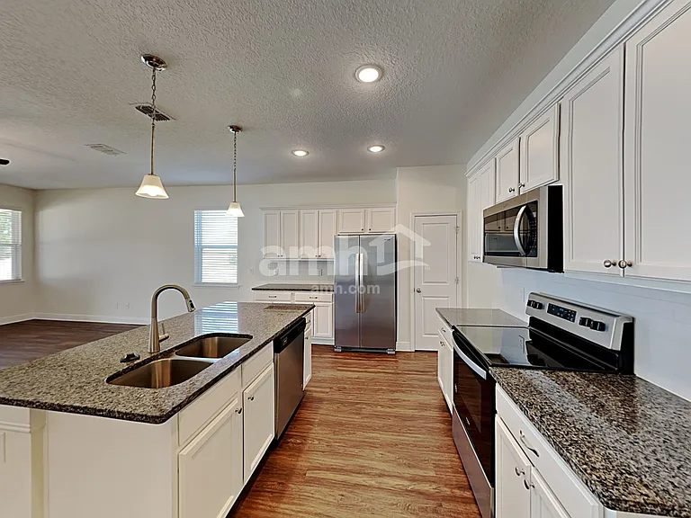 1306 Celery Palm Cv — Photo 3