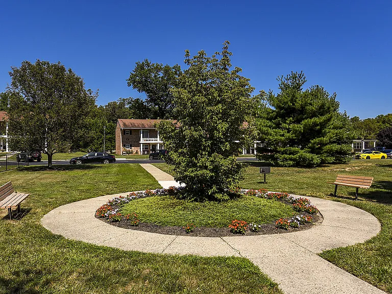 Holly Court — Photo 17