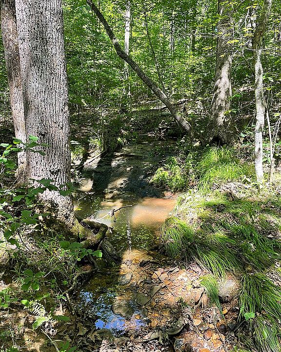 year round spring for possib