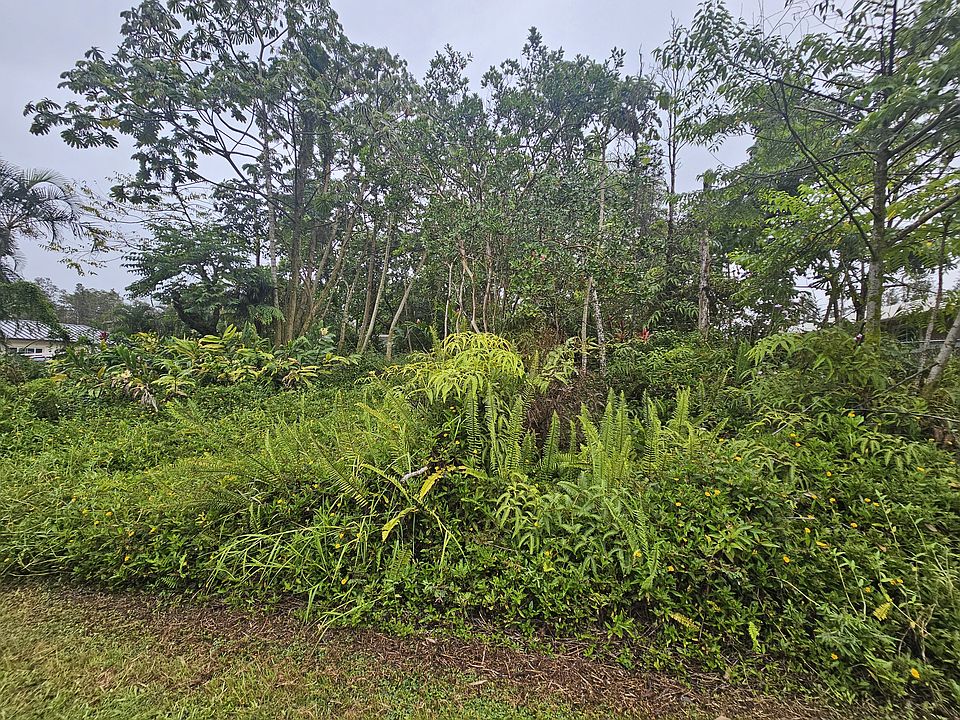 2nd image of Bamboo Dr Lot 20