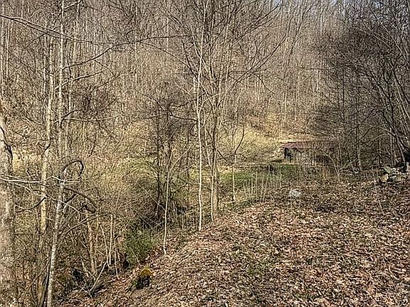 4th image of 2231 Fox Fire Rd