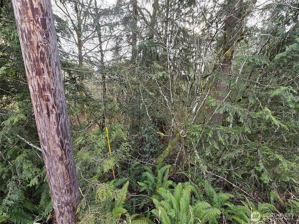 2nd image of 15102 Scott Turner Road E