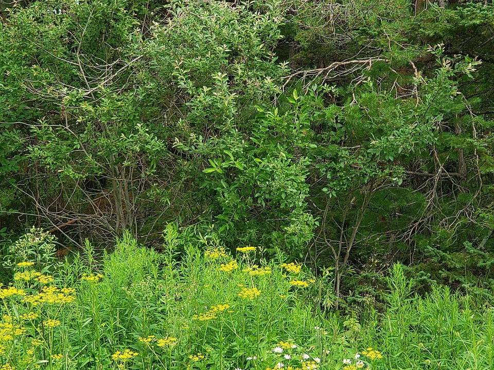 1st image of 10179 S Mackinac Trl