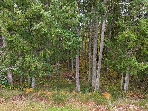 Moderately treed>