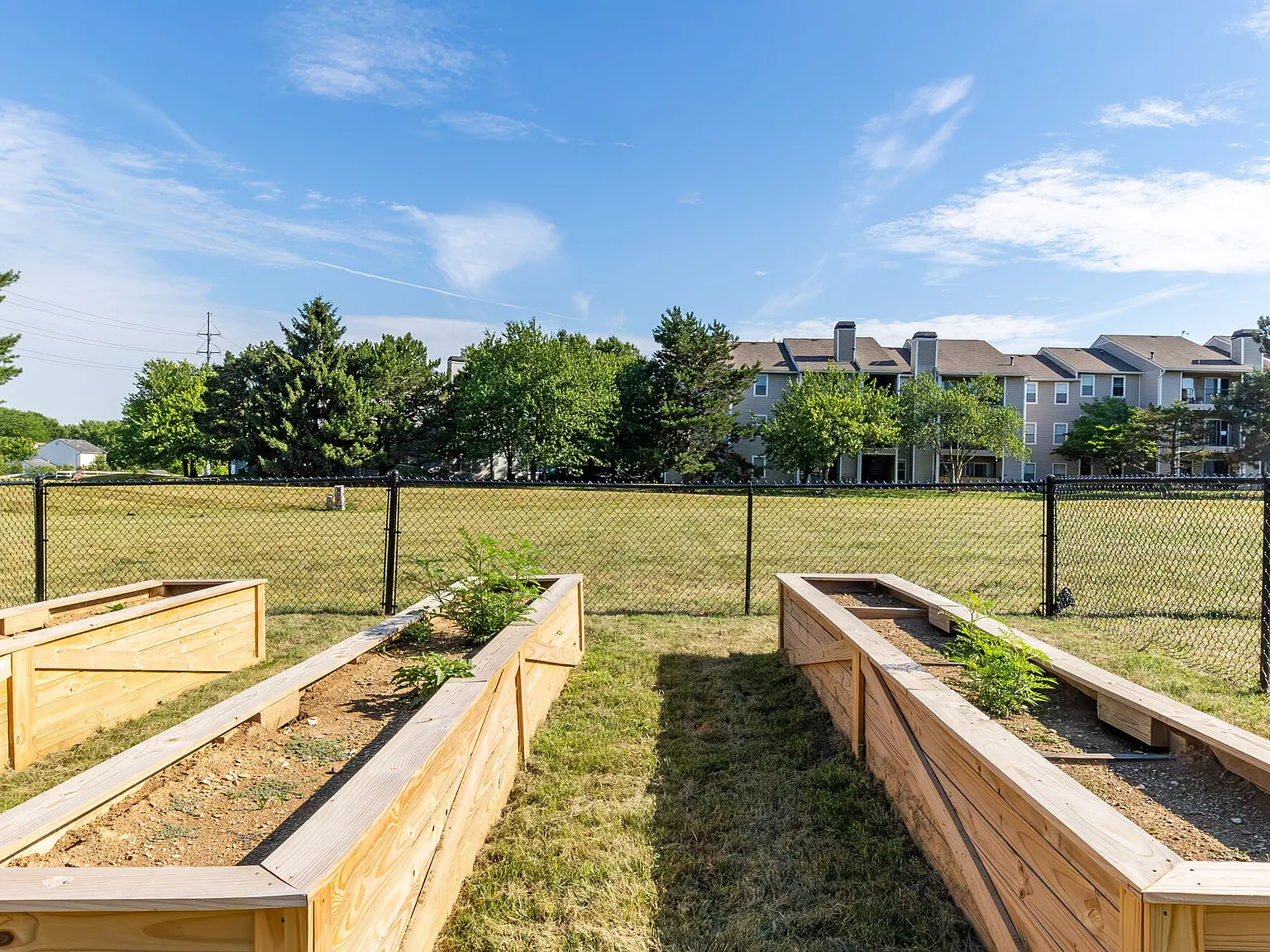 Sawmill Ridge — Photo 4