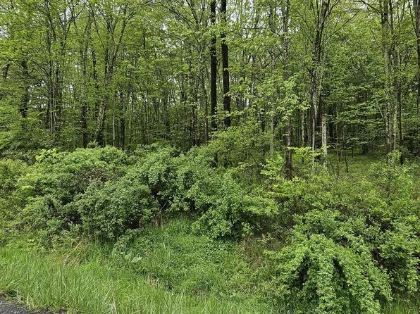 LOT 32.7 State Route 17b, Cochecton, NY 12726
