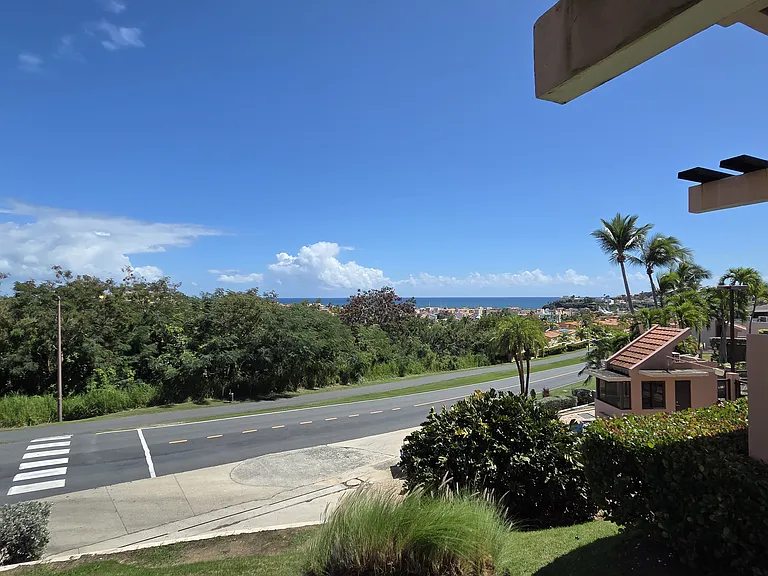 A18 La Jolla Palmas Del Mar Dr — Photo 17