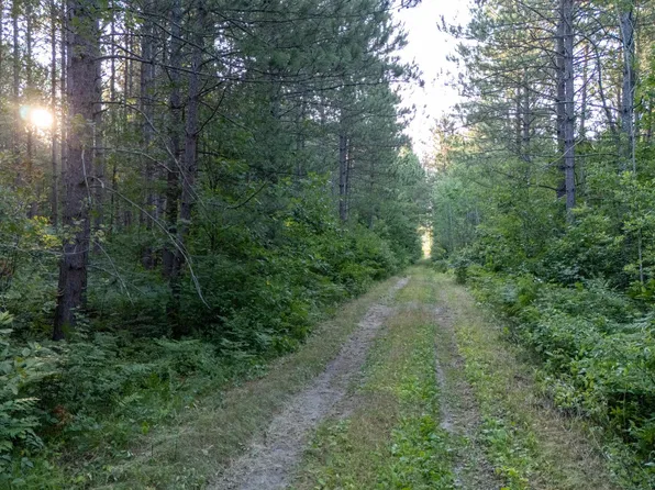 Nesw Forest Rd NE #3845, Pennington, MN 56663