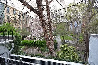 Rented by Bold New York