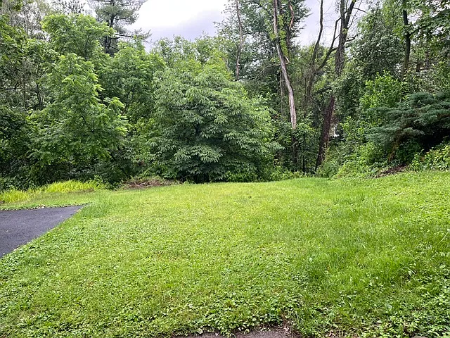 225 Logan Rd — Photo 4