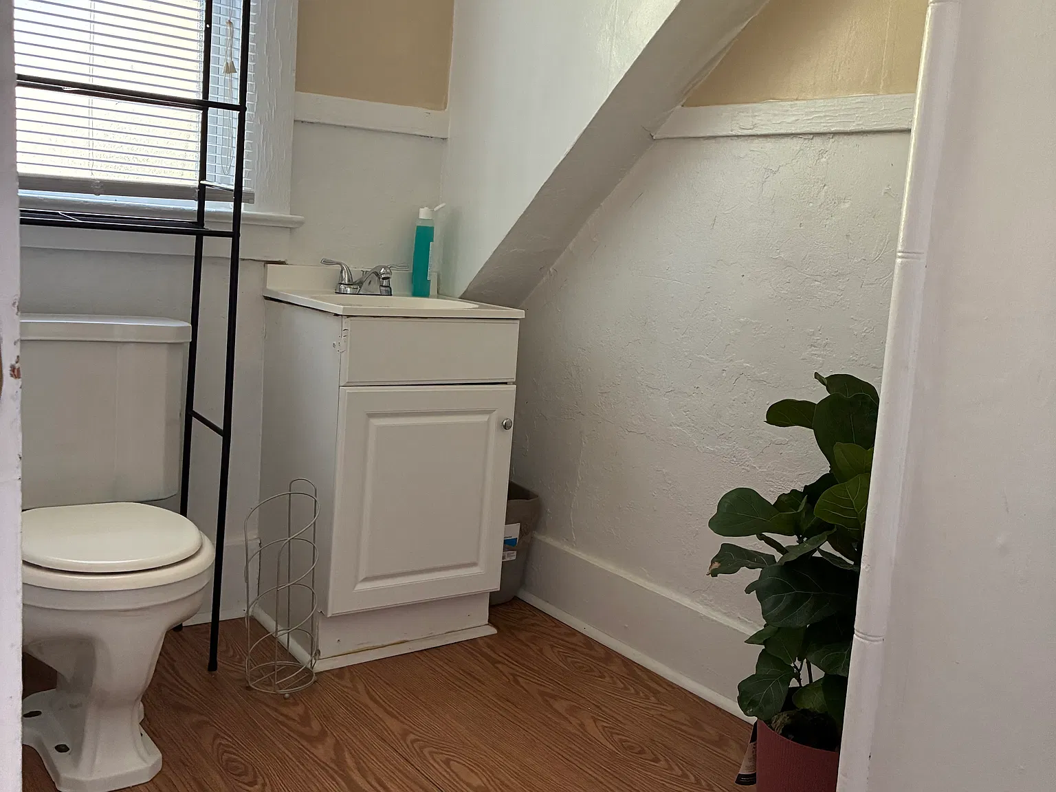 5 bed, 954 sqft, $1,750 — Photo 3