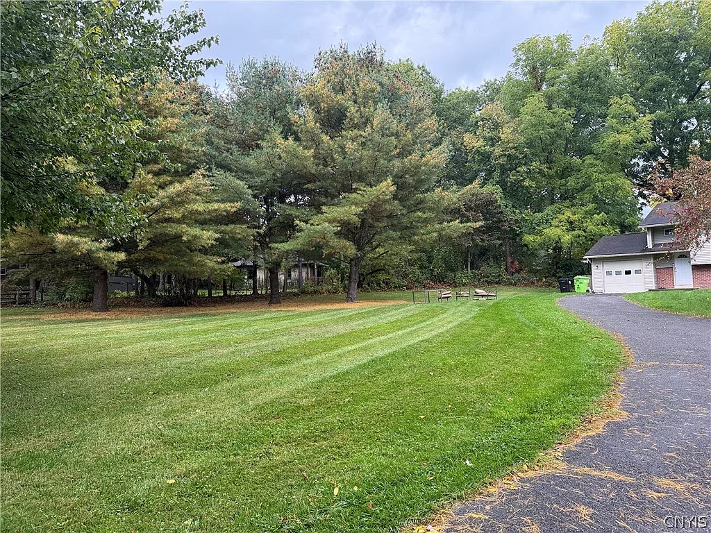 2 bed, 1.0 bath, 2498 sqft, $1,700 — Photo 4