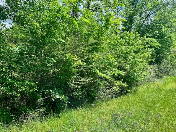 N Highway 87, Center, TX 75935