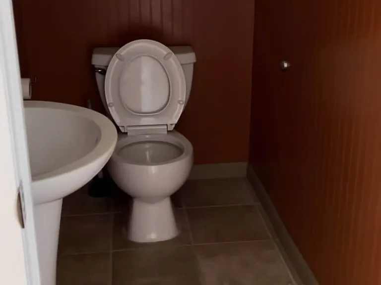 1/2 Bathroom on the first floor.