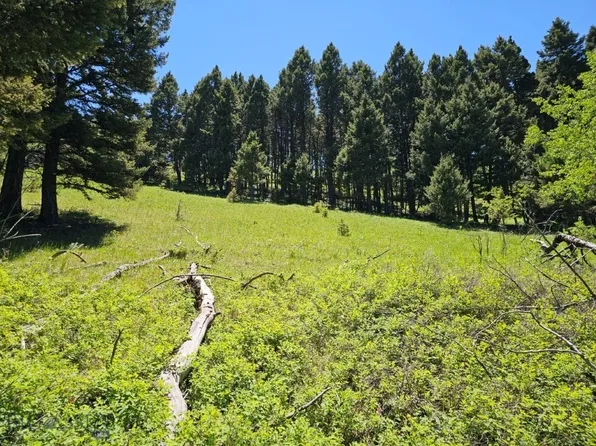 Tbd Corbin Rd, Jefferson City, MT 59638
