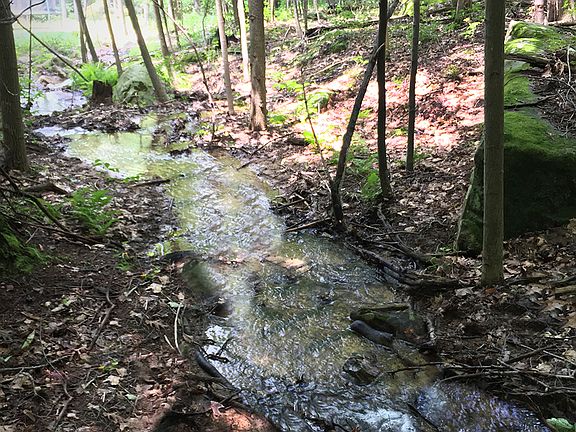 Stream crosses back of lot
