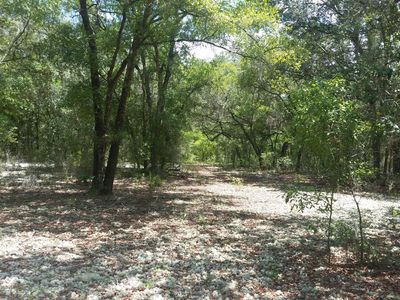 237 Francis St, Interlachen, FL, 32148