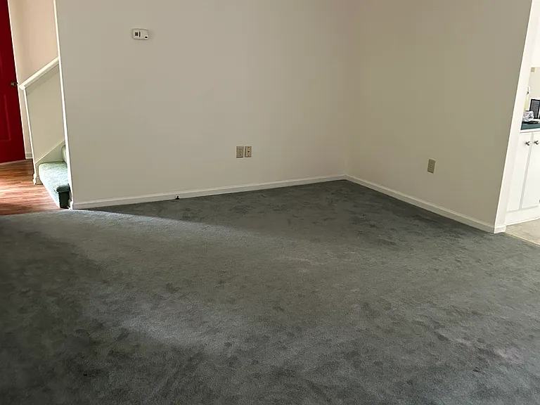 Living room (1st floor)