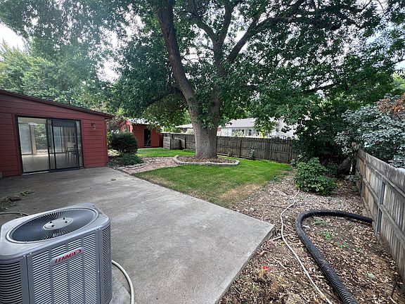 Backyard NE corner
