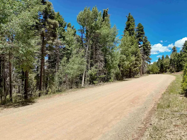 Lot 55 Back Basin, Angel Fire, NM 87710