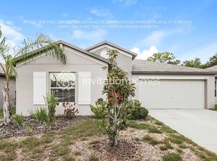 11138 Riley Pines Cir, Gibsonton, FL 33534