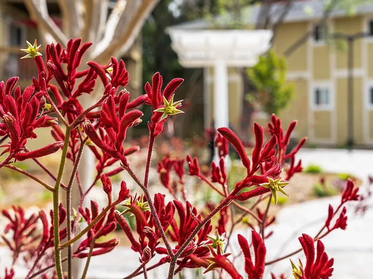 Vista Creek Apartments — Photo 18