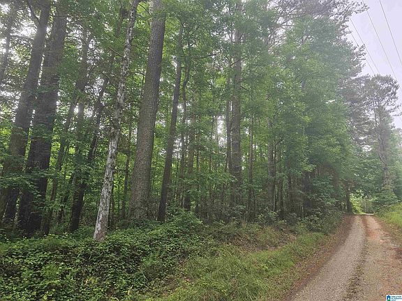 2nd image of Unkn County Rd #606-3.4