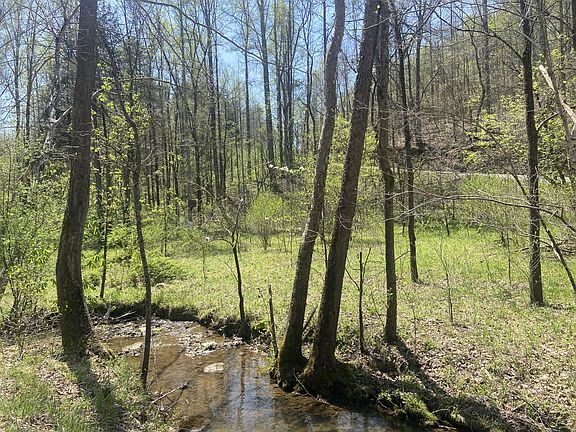 5th image of 111 Turkey Creek Rd