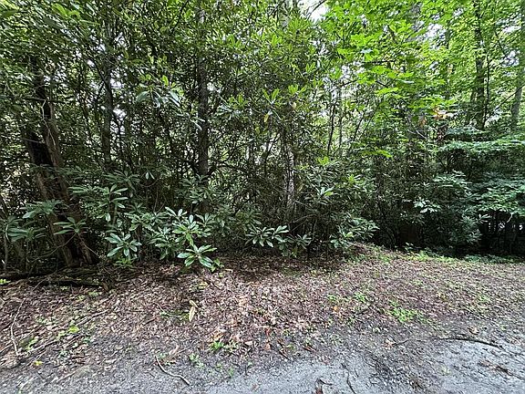 3rd image of 0 Hemlock Falls Rd