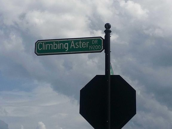 5th image of 19226 Climbing Aster Dr