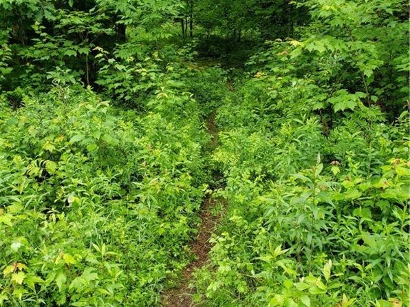 0 Mattis Rd #1, Lowville, NY 13367