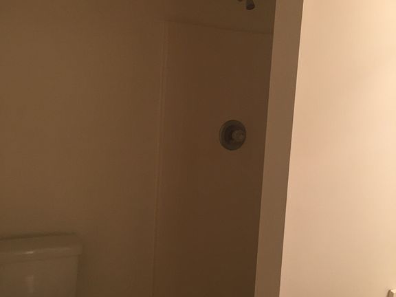 Bathroom Downstairs