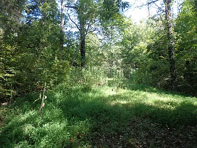 Property photo 56