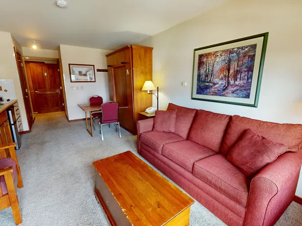 6175 Snowshoe Dr #224, Snowshoe, WV 26209