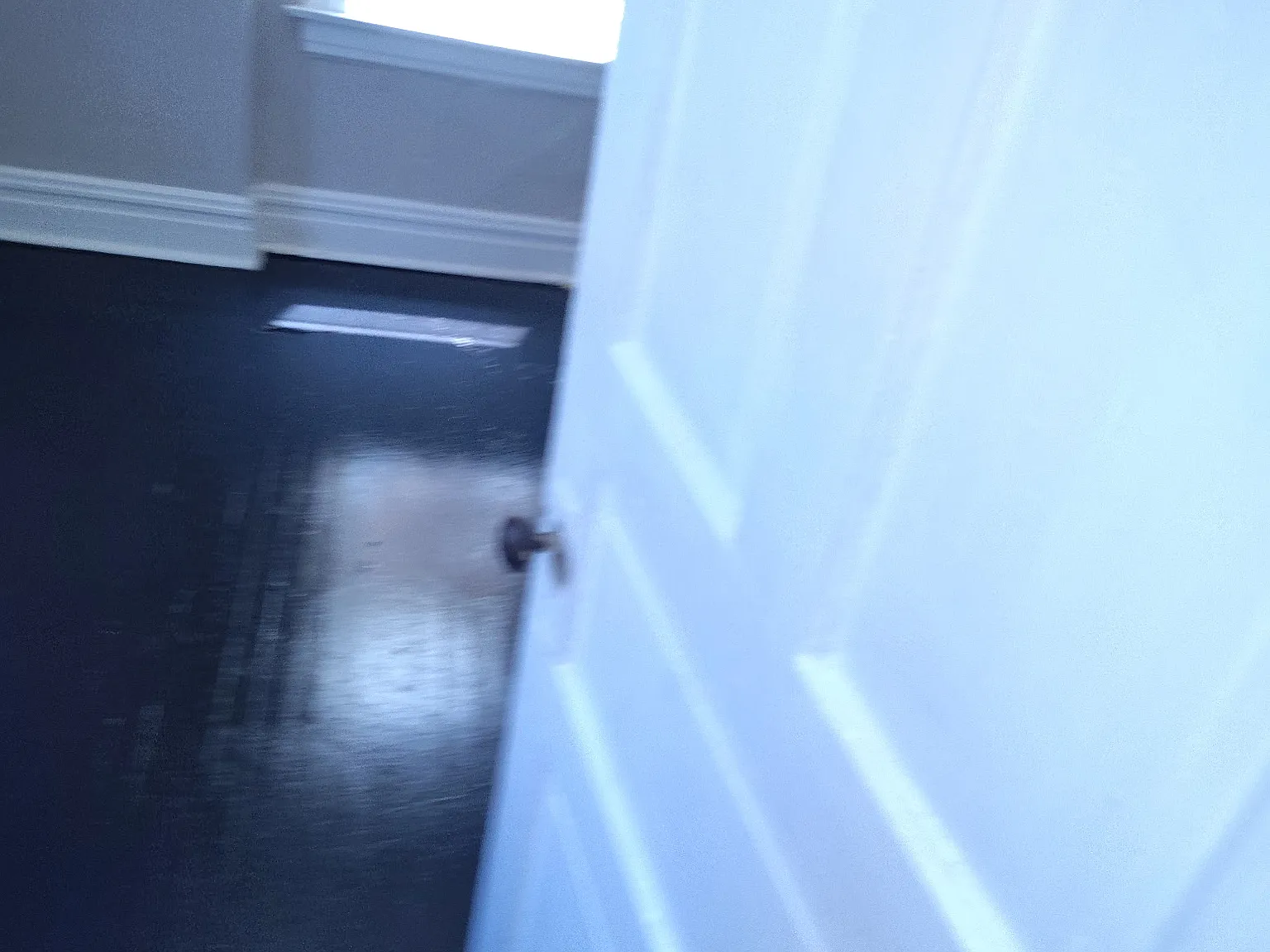 3 bed, 1000 sqft, $1,200 — Photo 2