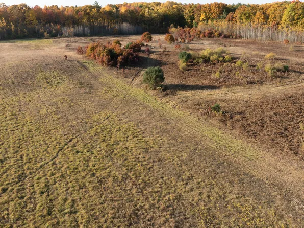 V/l 19 Mile Rd, Barryton, MI 49305