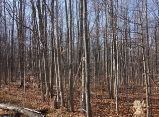 Hayes Tower Rd, Gaylord, MI 49735